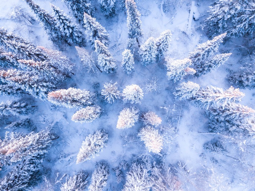 Фотография автора Андрей Логвинович