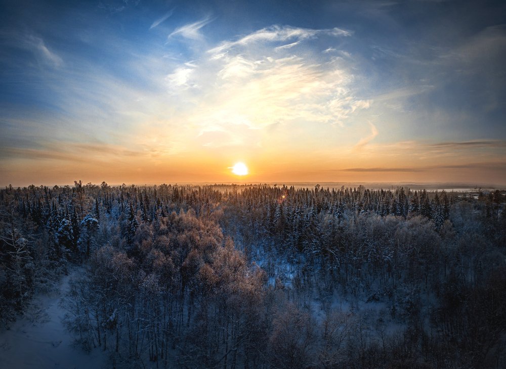 закат над елками