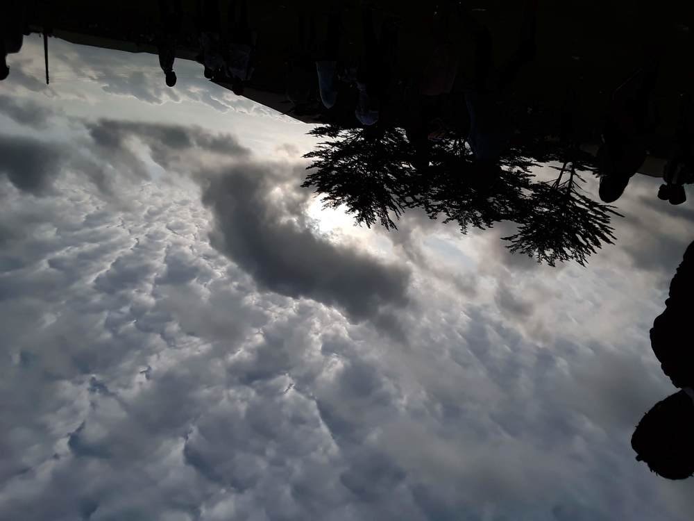 Work of nature