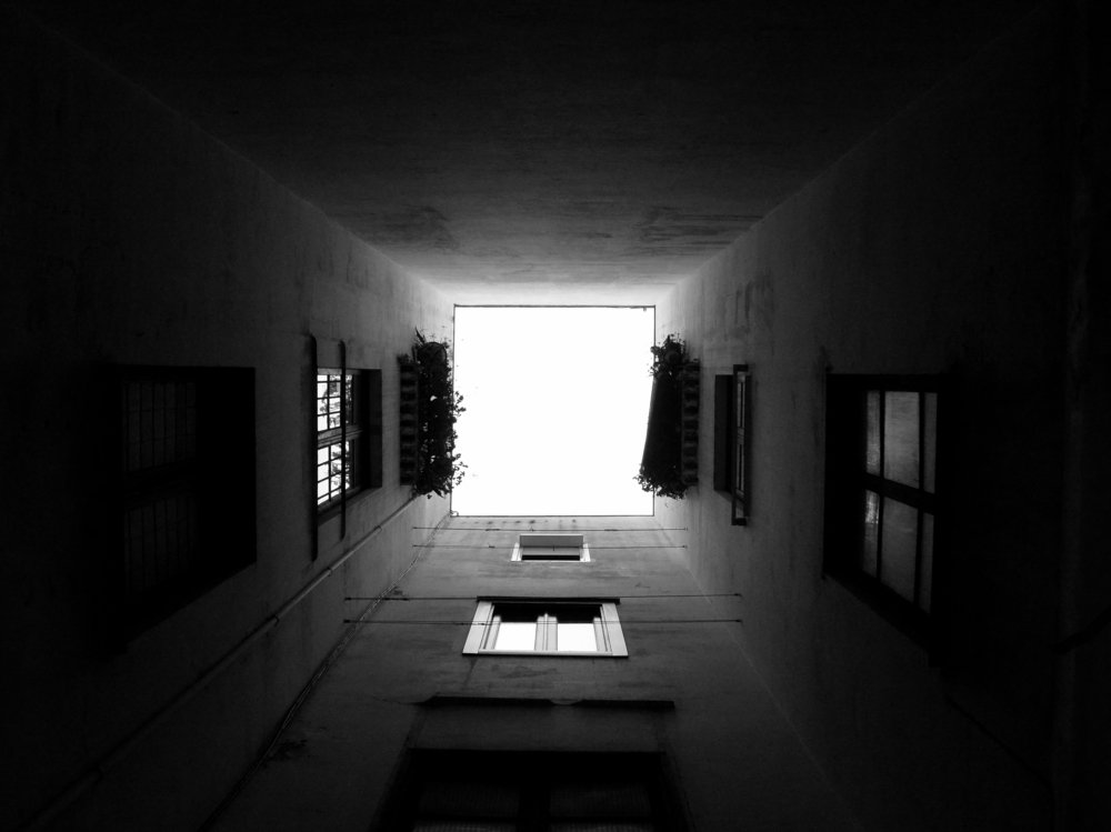 Выход в свет