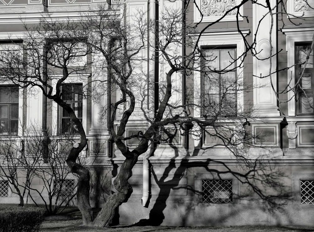 Photograph by Елена Боржковская