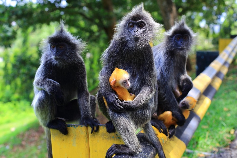 Photograph by Anastasiia Usoltceva