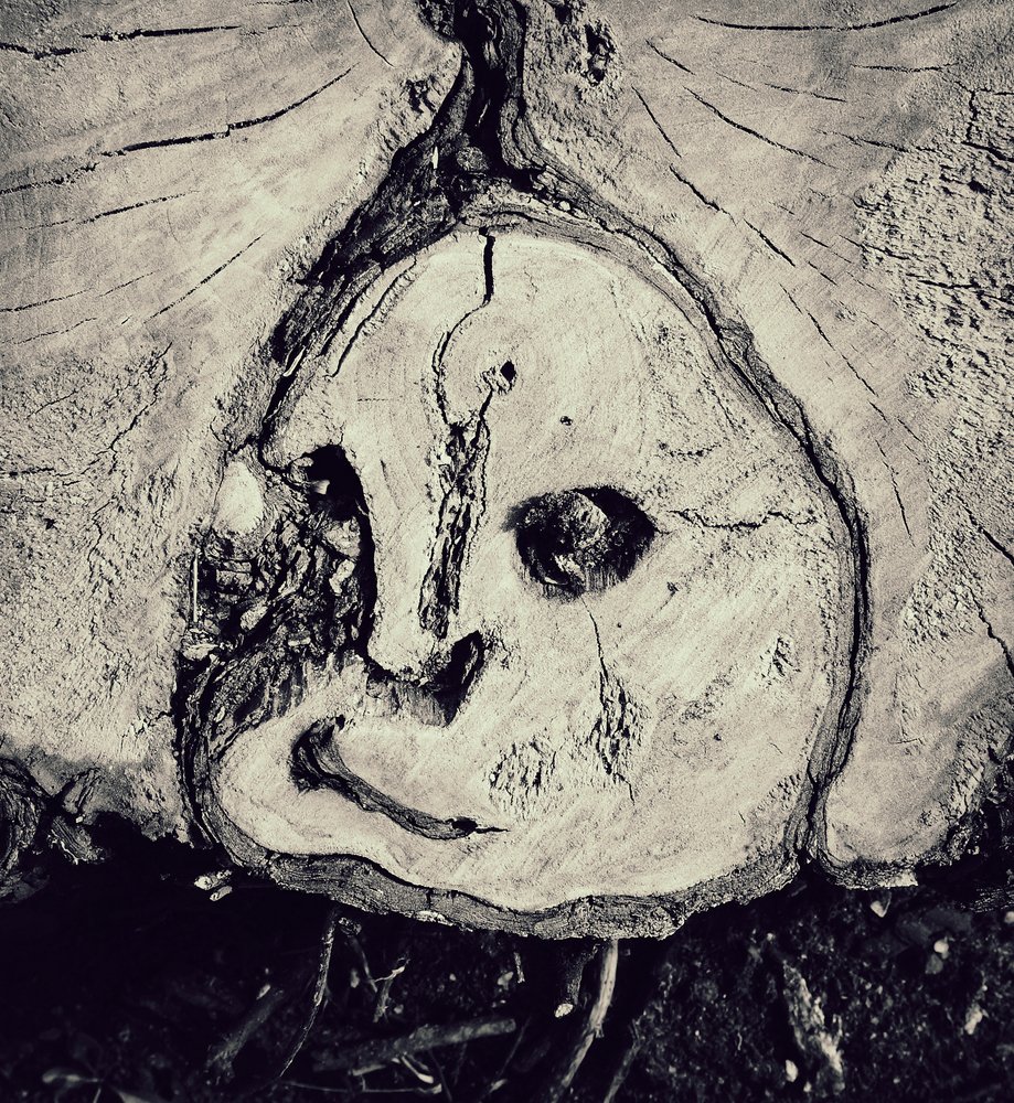 Photograph by ПОЛУЕВ ИЛЬЯ