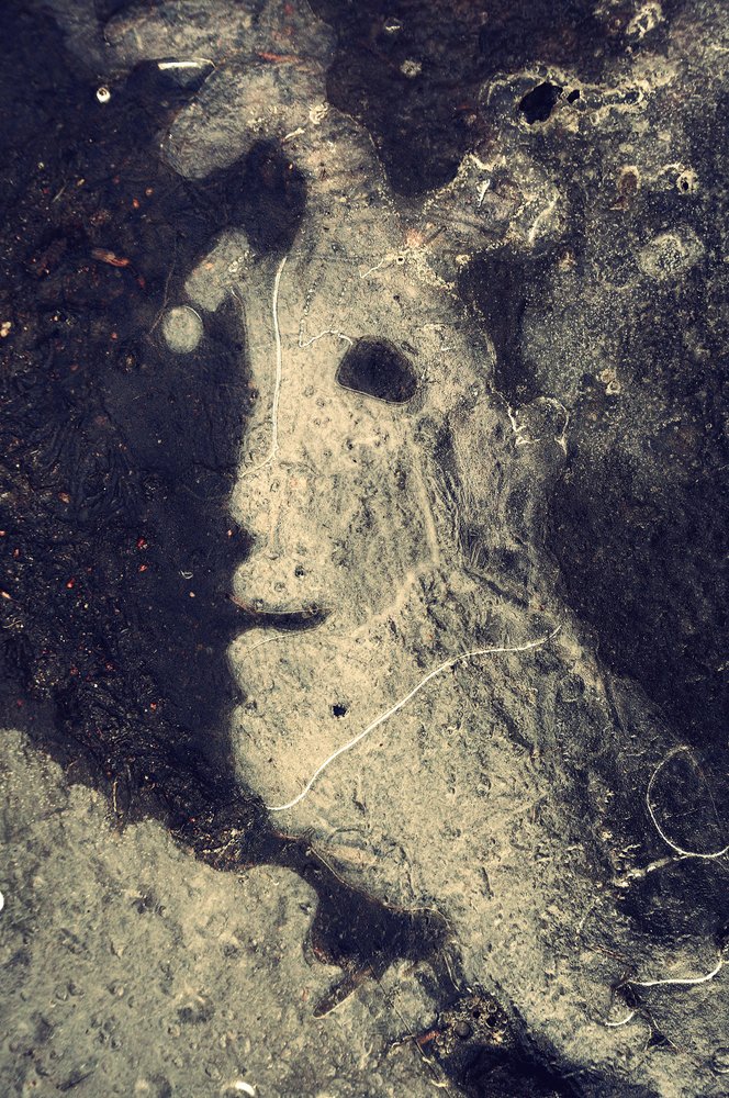 Photograph by ПОЛУЕВ ИЛЬЯ