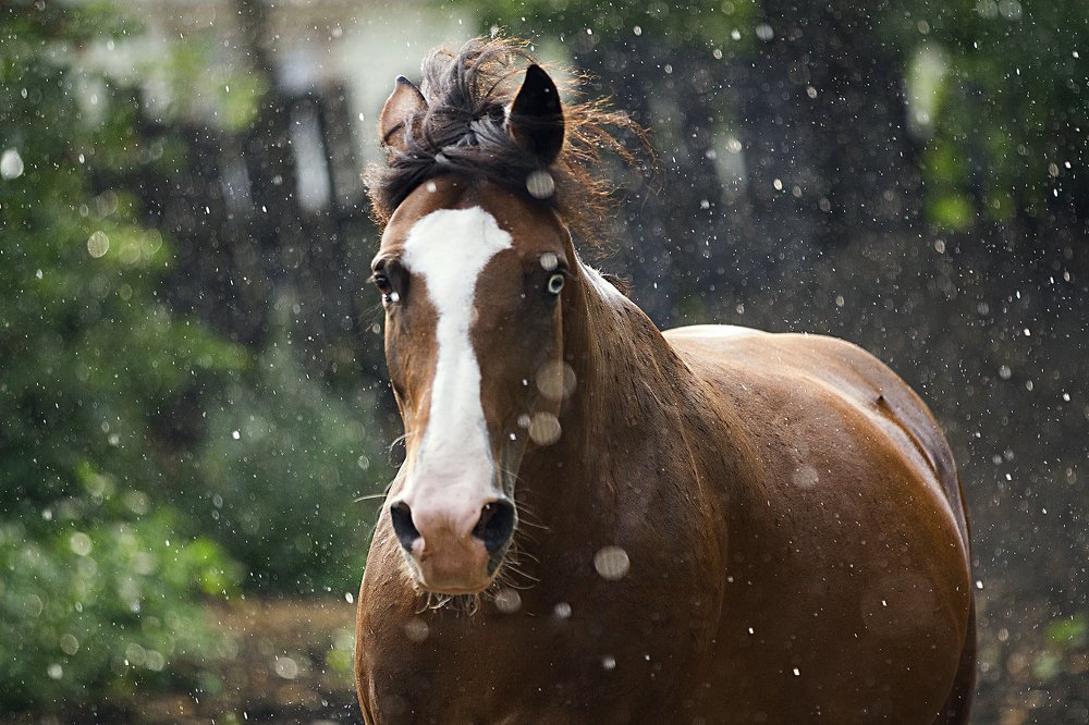 Photograph by Юлия Дудкова