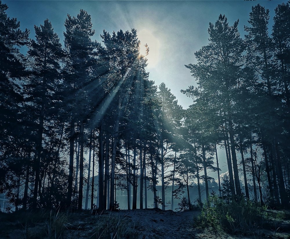 Photograph by Ольга Линк