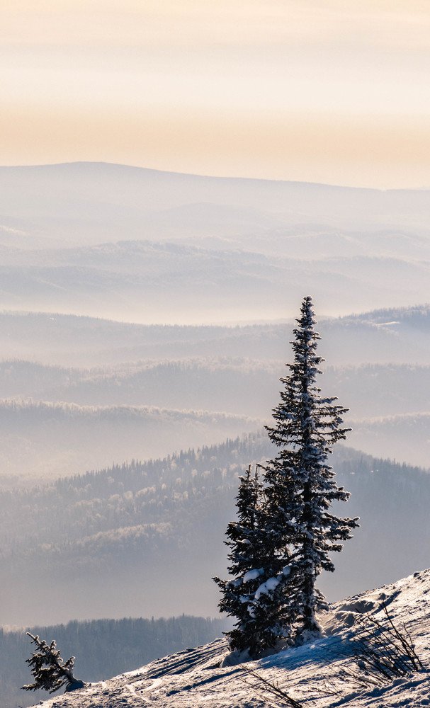 Горная Шория