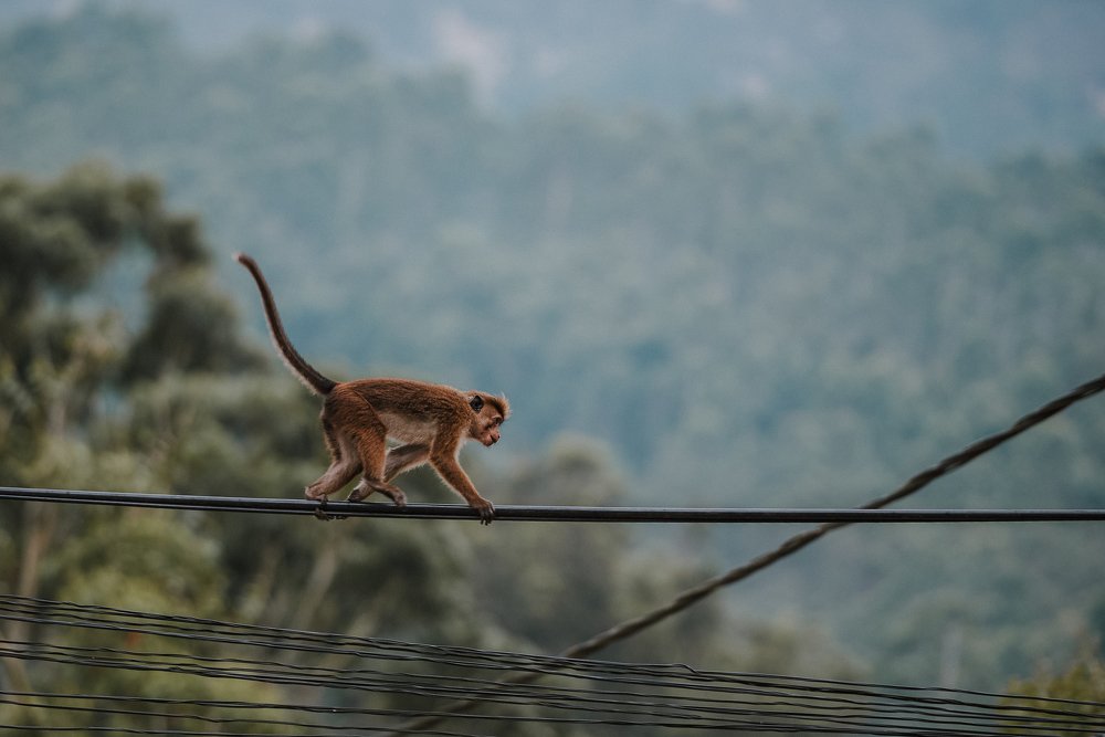 Photograph by Mariola Glajcar
