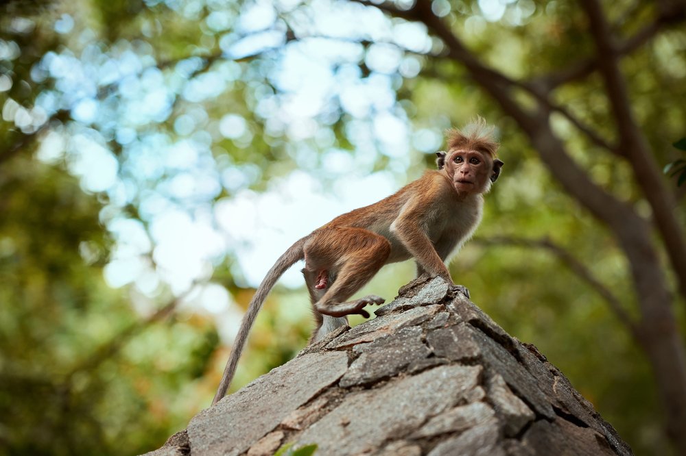 Photograph by Mariola Glajcar