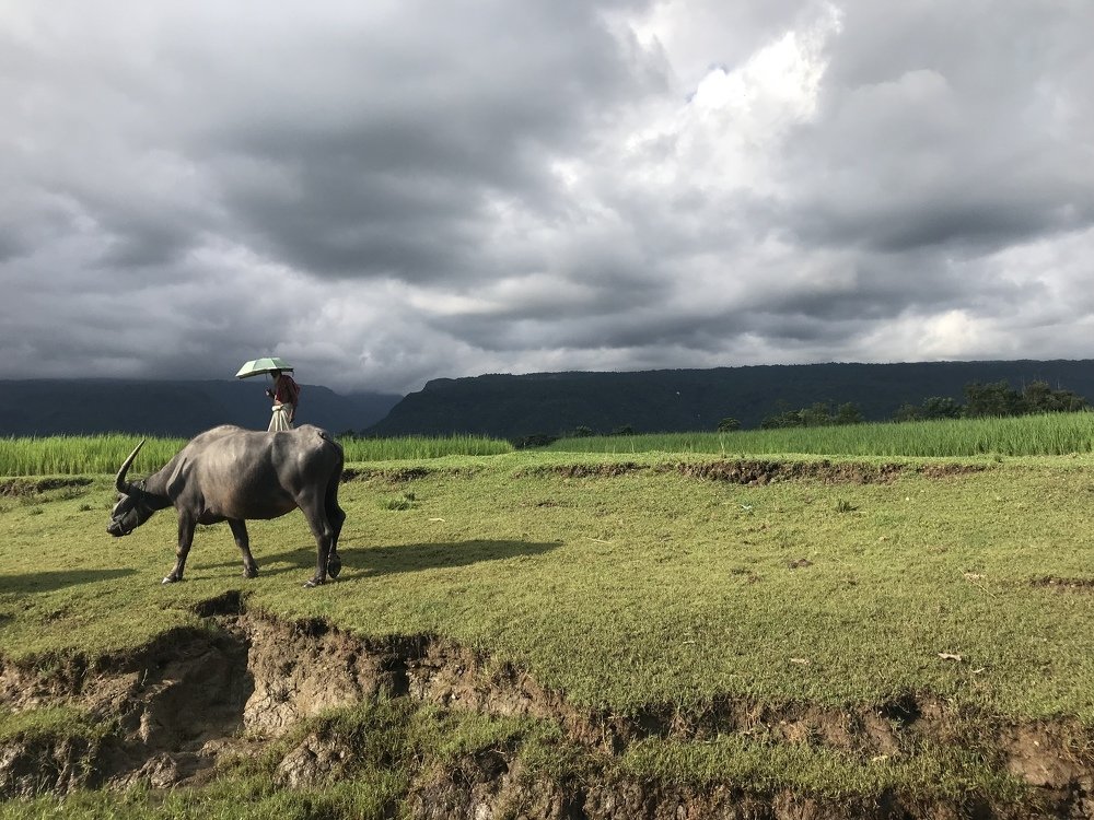 Photograph by Shahariar Shihab