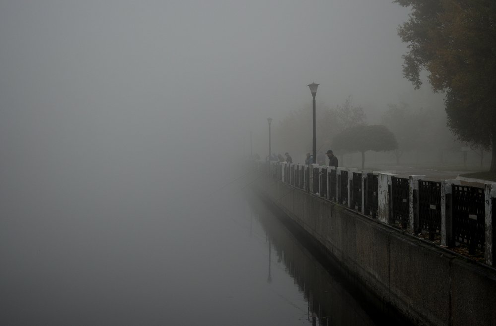 Фотография автора Алексей Боровик