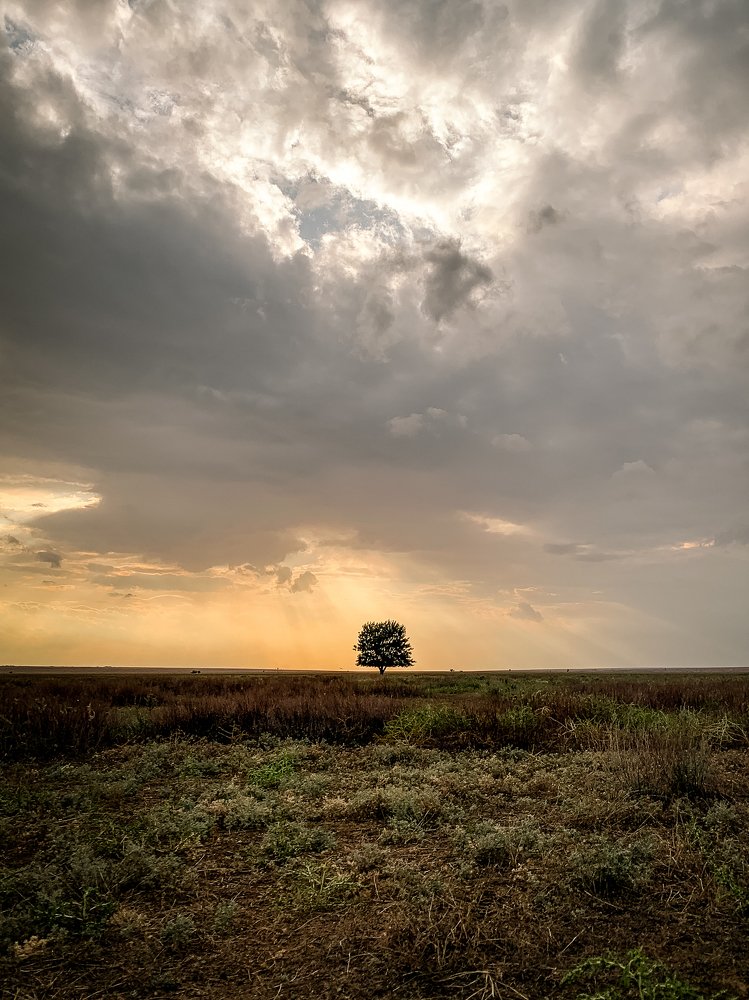 Одиночество