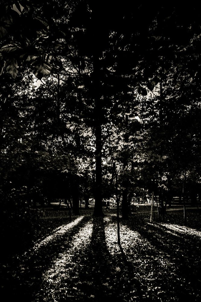 Photograph by Dmytro Tur