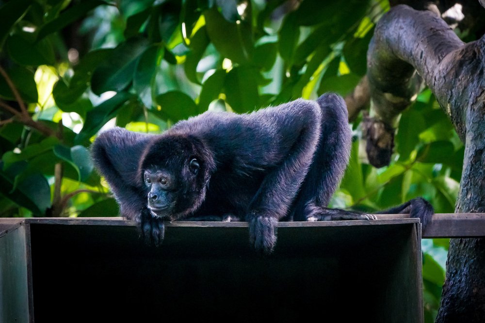 Photograph by Augustine Fernandes