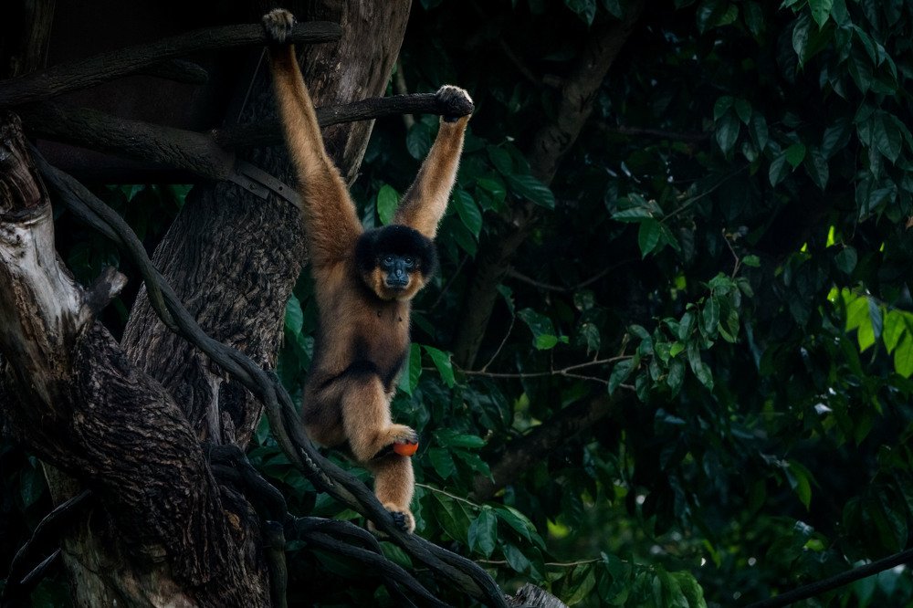 Photograph by Augustine Fernandes