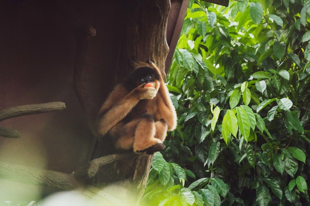 Photograph by Augustine Fernandes