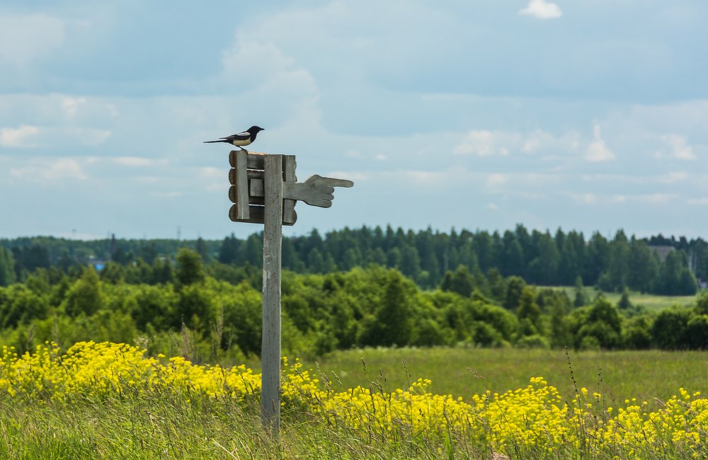 Photograph by Светлана Ващенко
