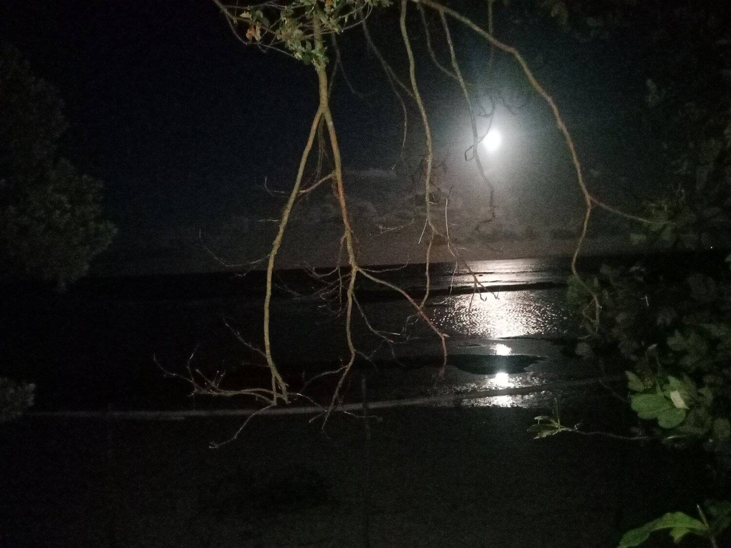 Photo #4156827
