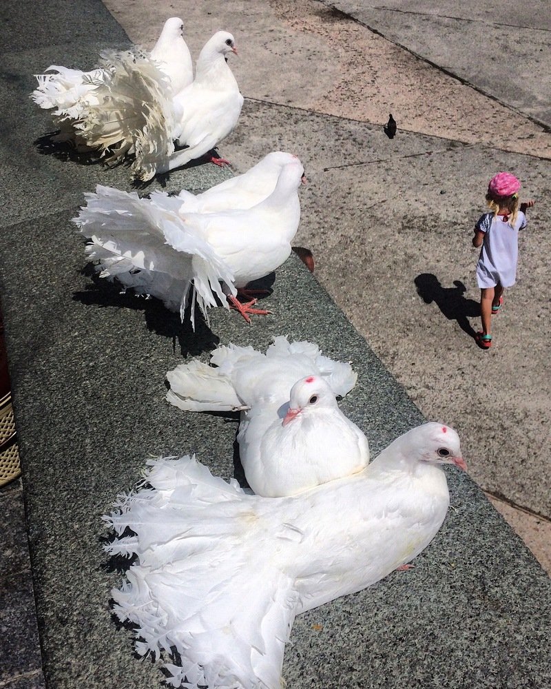 С любопытством, свысока красотки смотрят на красотку!