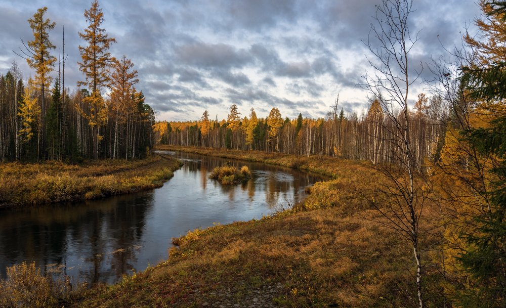 Таёжная река