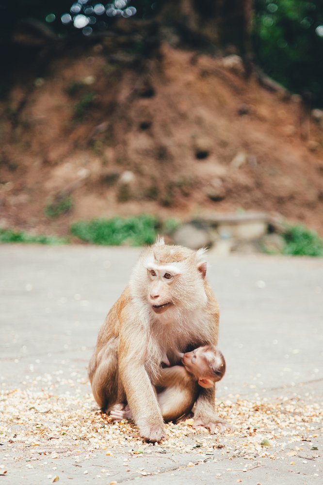 Photograph by Nikita Lagutin