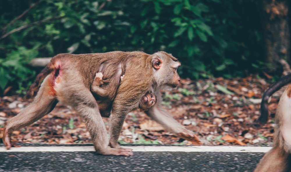 Photograph by Nikita Lagutin