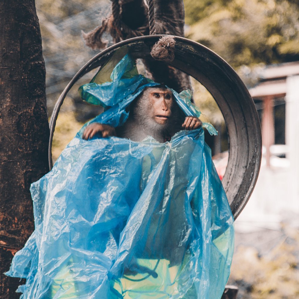 Photograph by Nikita Lagutin