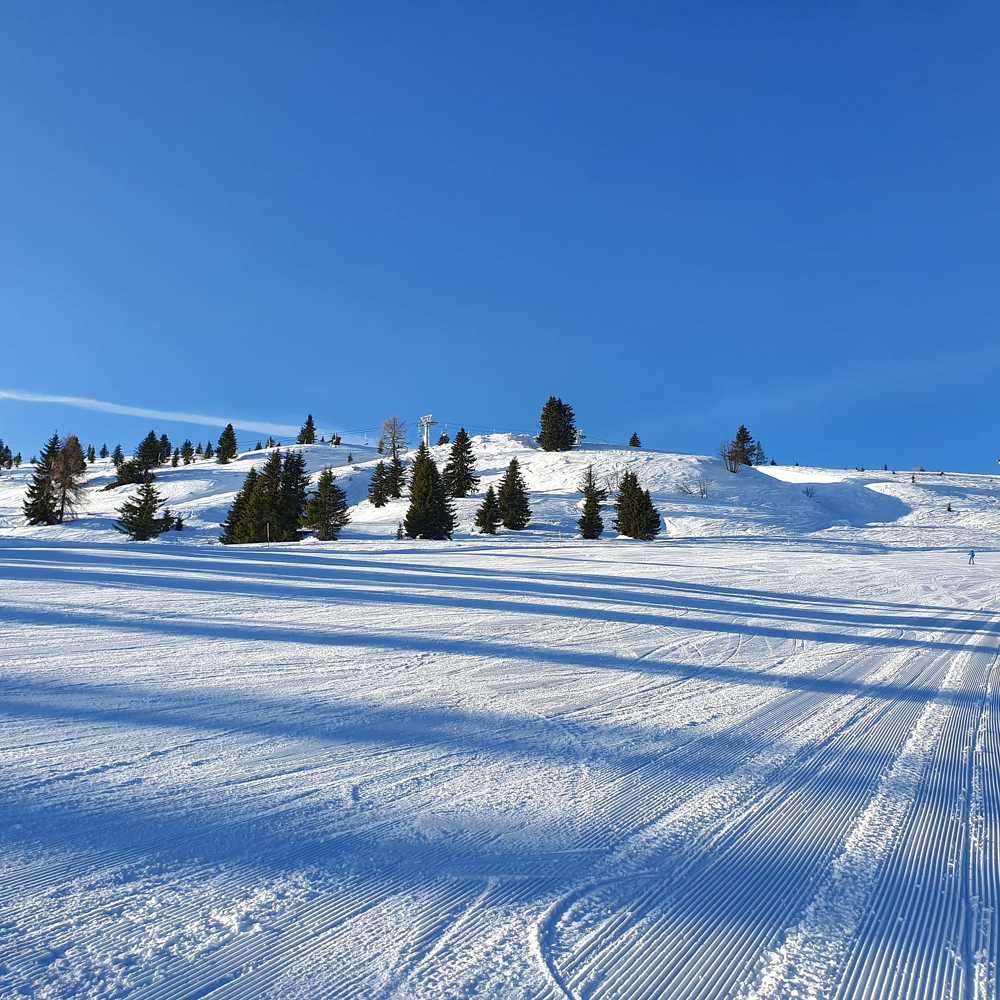 Photograph by Полина Карпова