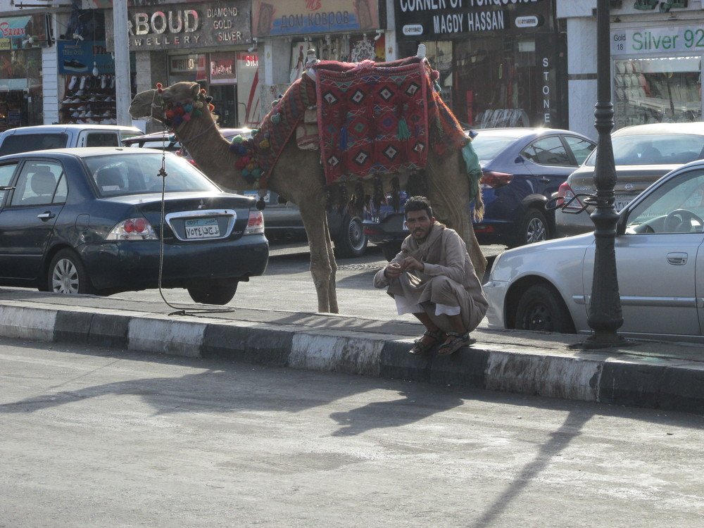 Photo #4156929