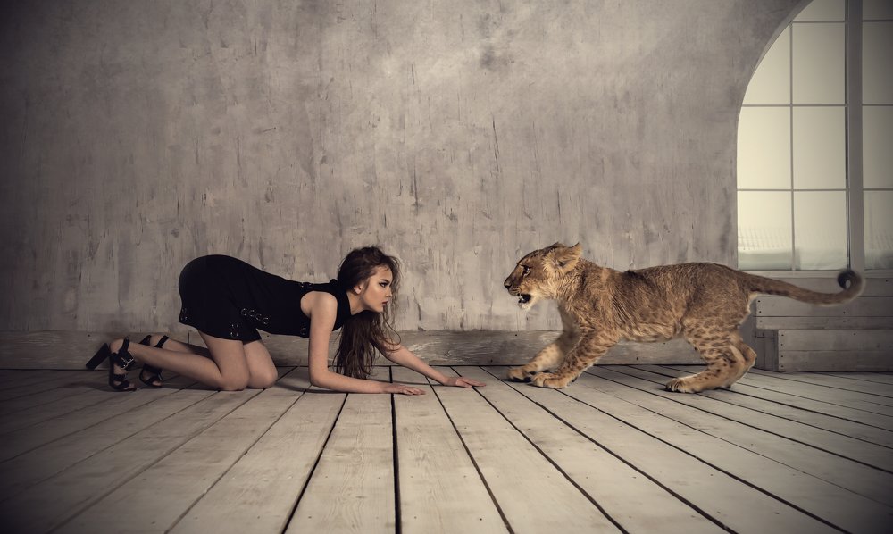 Фотография автора Ogneva Olli