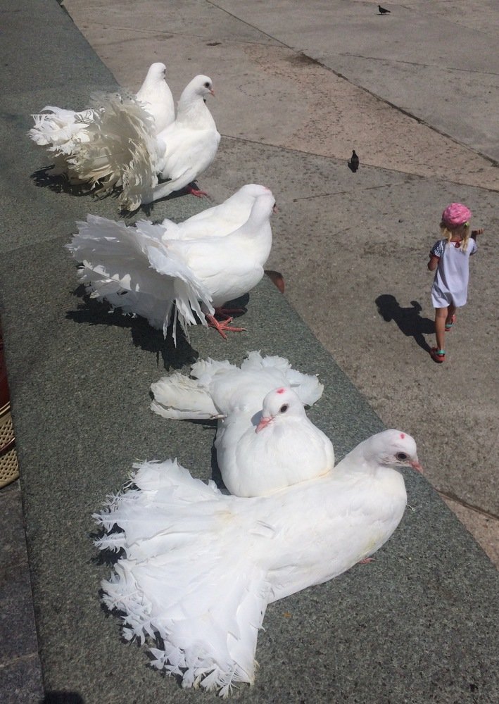 С любопытством, свысока красотки смотрят на красотку!