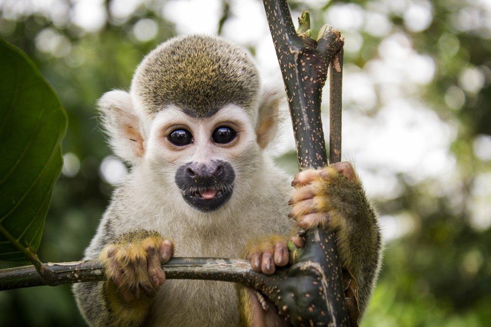 Photograph by JUAN BERNATE