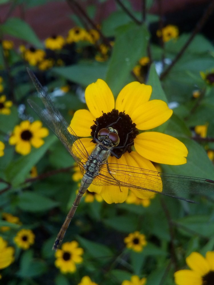 Photograph by Маргарита Данилина