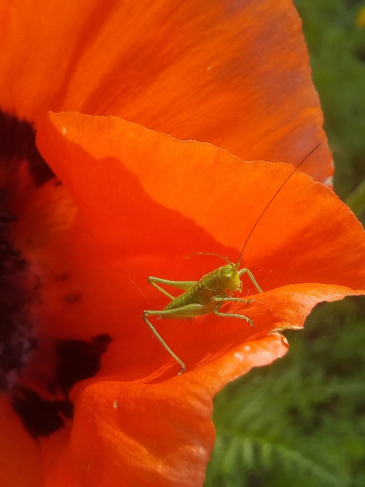 Photograph by Маргарита Данилина