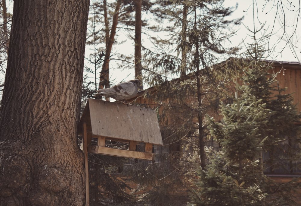 Photograph by Иван Кузнецов