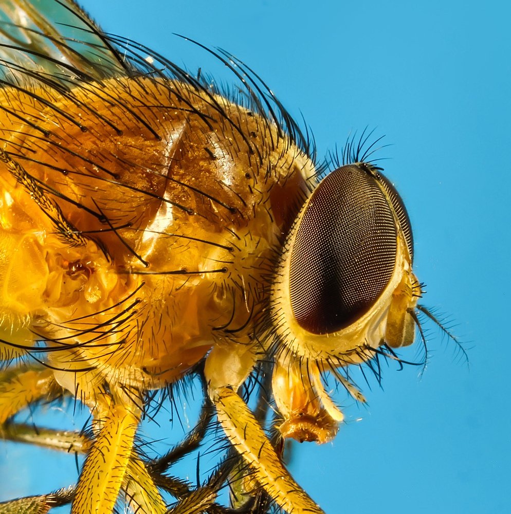 Photograph by Сергей Прокофьев