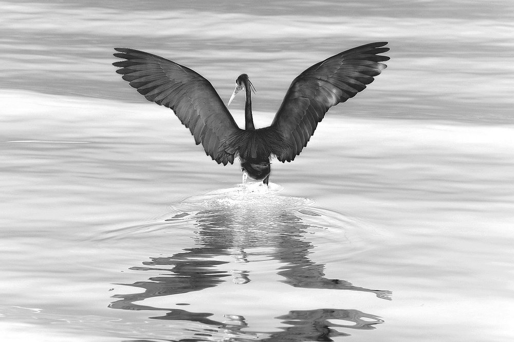 Photograph by Nikolai Savin