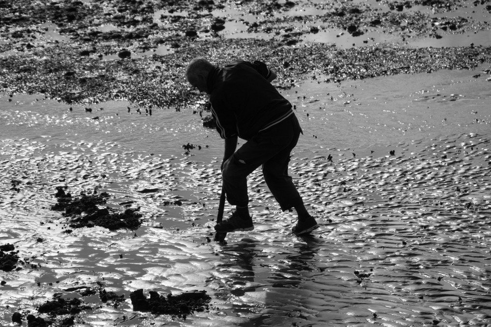 Photograph by Чавдар Георгиев