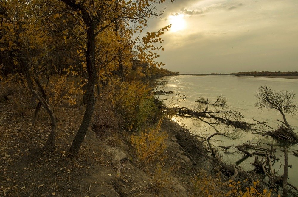 Золотая осень