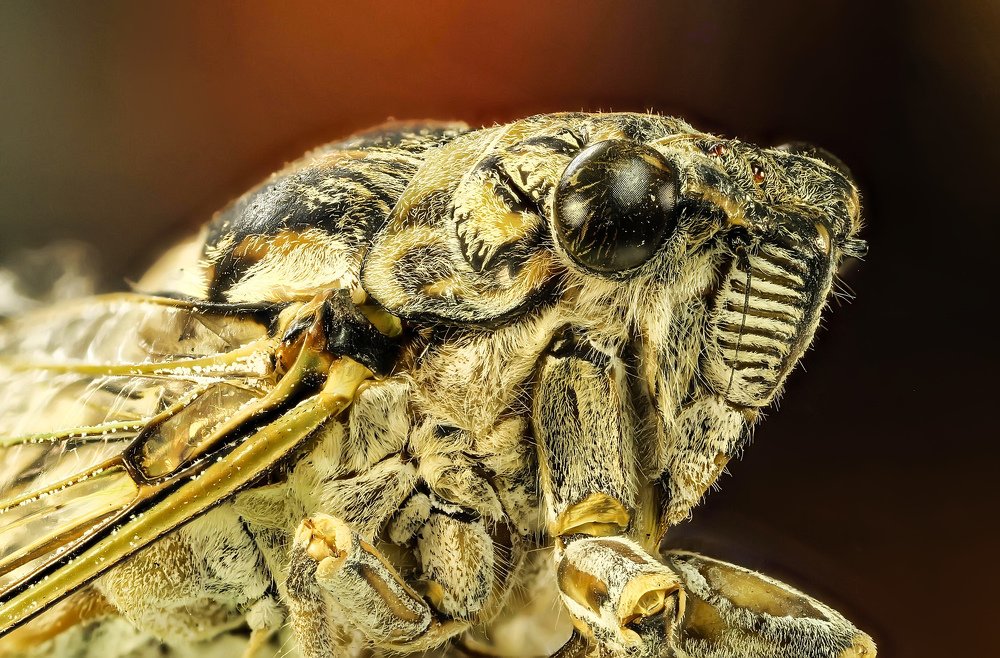 Photograph by Сергей Прокофьев