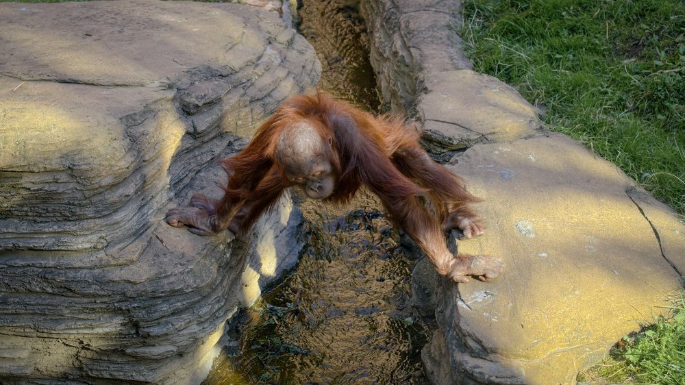 Photograph by Андрей Бондаренко