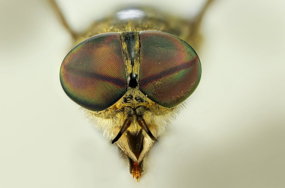 Photograph by Сергей Прокофьев