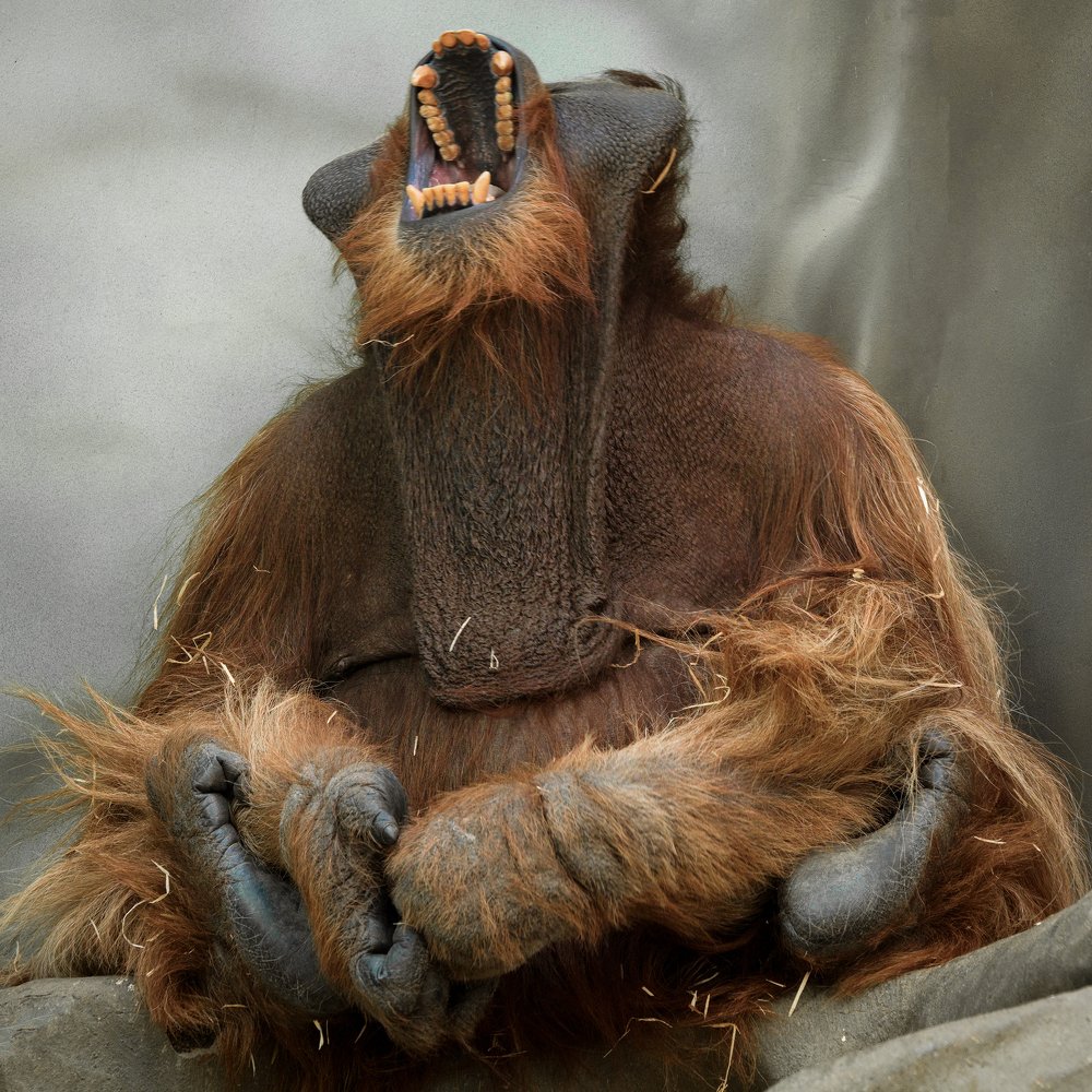 Photograph by Андрей Бондаренко