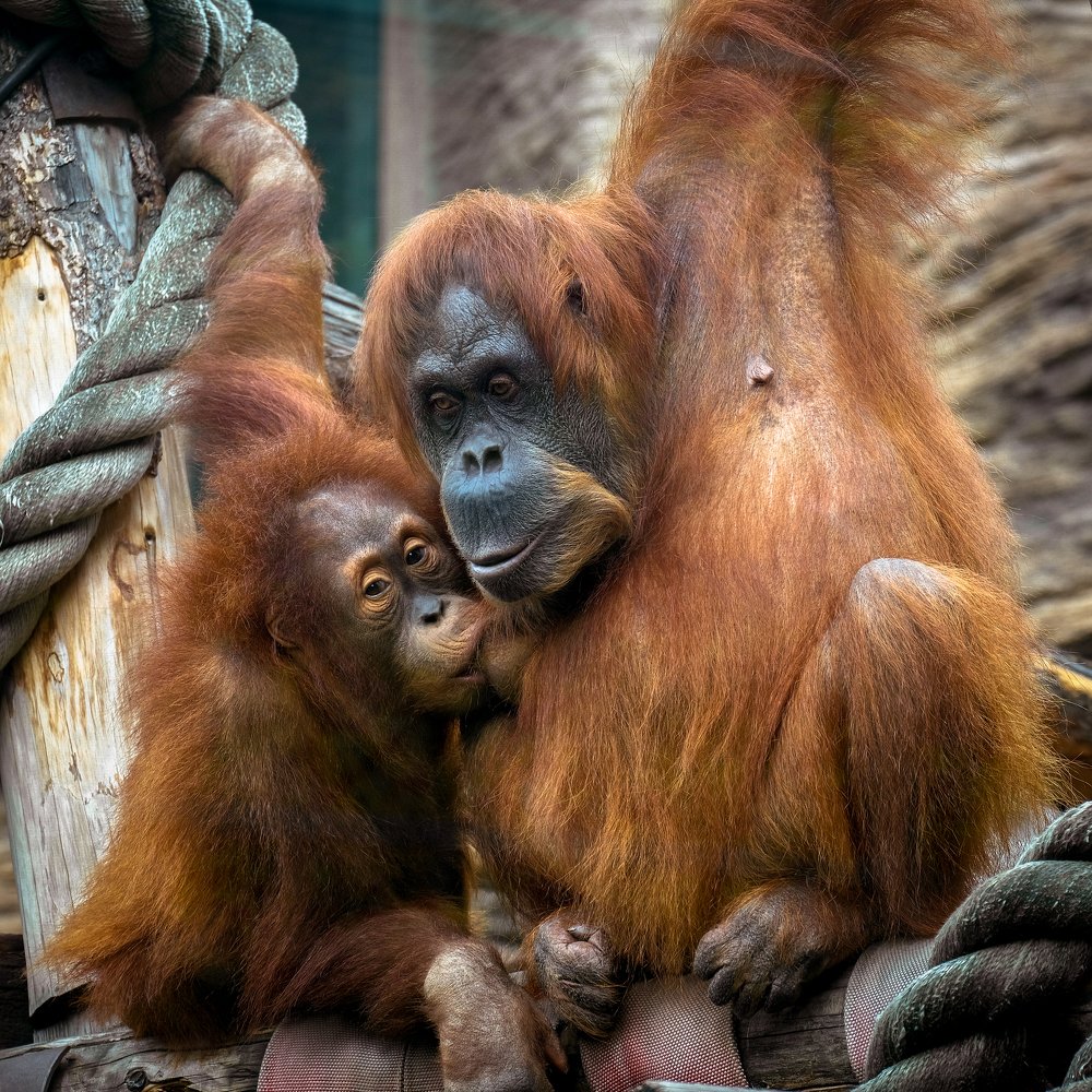 Photograph by Андрей Бондаренко