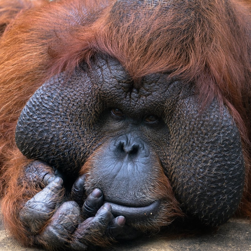 Photograph by Андрей Бондаренко