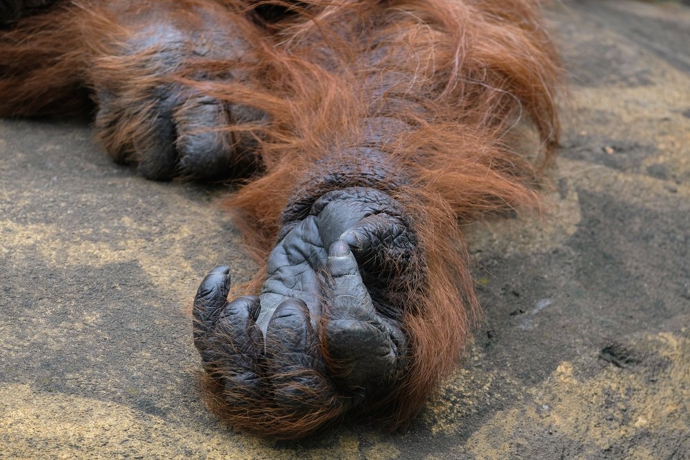 Photograph by Андрей Бондаренко