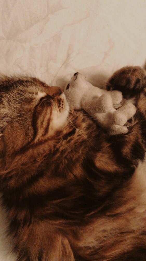 Photograph by Irina Sukretnaya