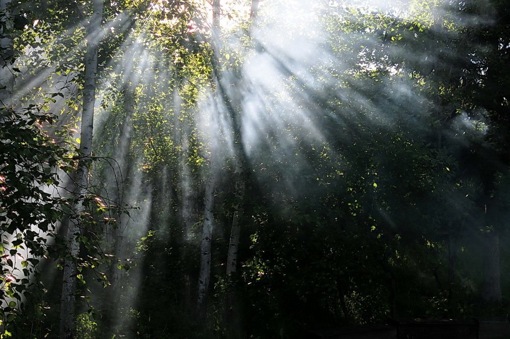 Photograph by Николай Турский