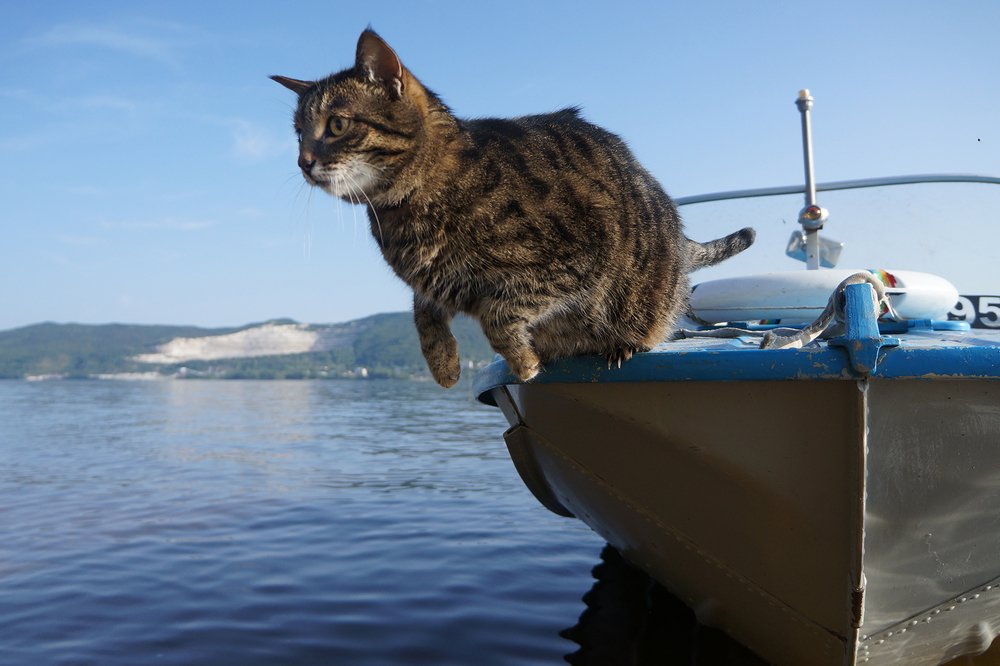 Перед прыжком