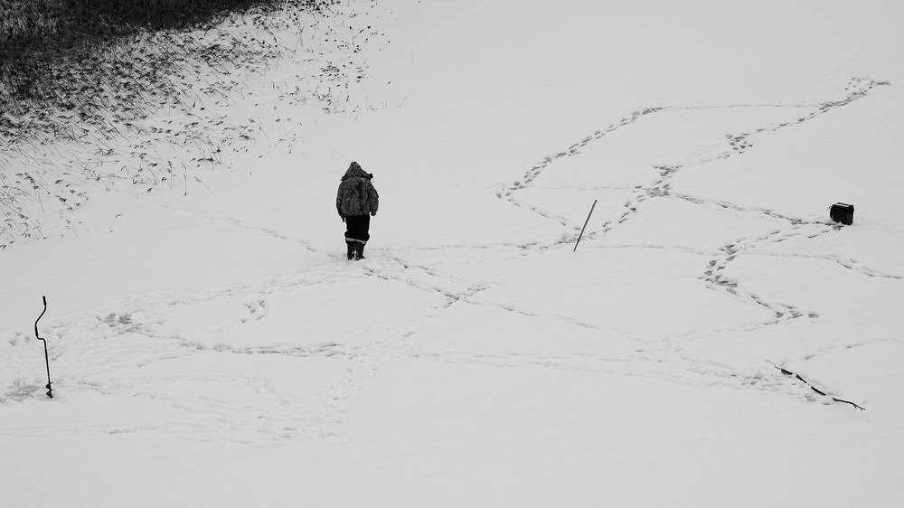 Photograph by Бавыкин Николай